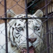 フリーズドライの技術がもたらす革命 フリーズドライの技術がもたらす革命