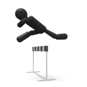 シリーズ飛躍の瞬間 シリーズ飛躍の瞬間