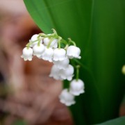 六花亭の人事の考え方